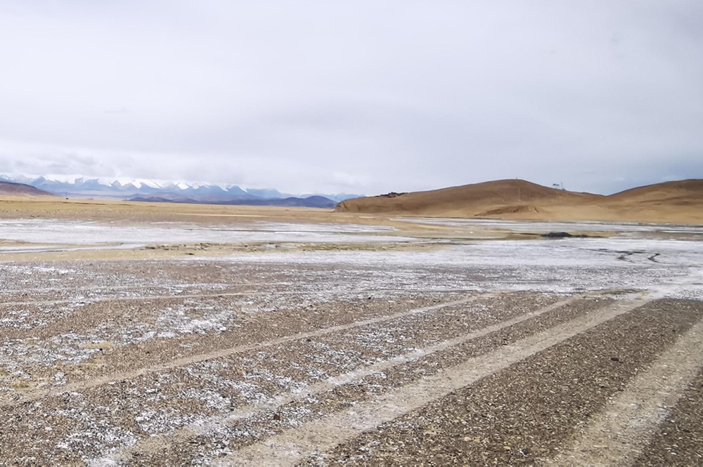 土壤改良项目--盐碱地治理