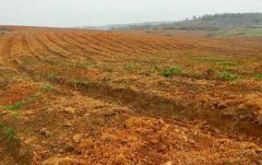 贵州六盘水土壤改良项目