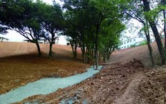 安徽广德某学校土壤改良项目