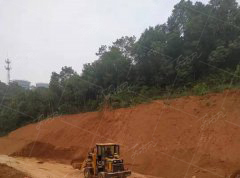 湖北宜昌某工业园区边坡绿化项目