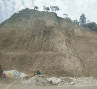 台州某矿山边坡绿化项目