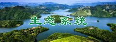 生态系统更要重视（新时代新步伐）