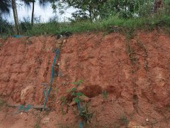 福建平潭公路边坡修复项目