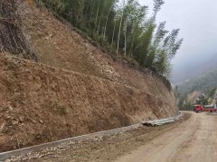 衢州公路边坡绿化项目