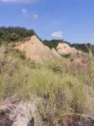 广东惠州矿山修复项目