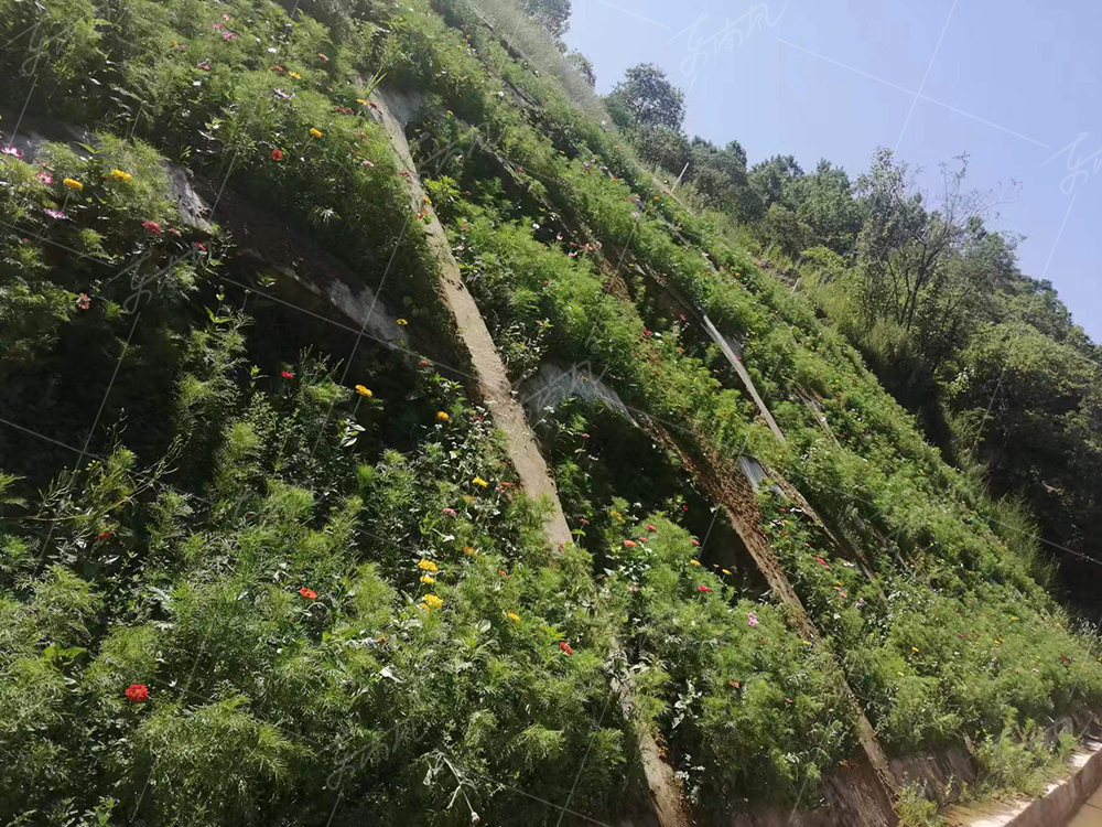 陕西汉中西乡框格梁修复项目