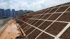 四川成都大运会东干渠边坡项目